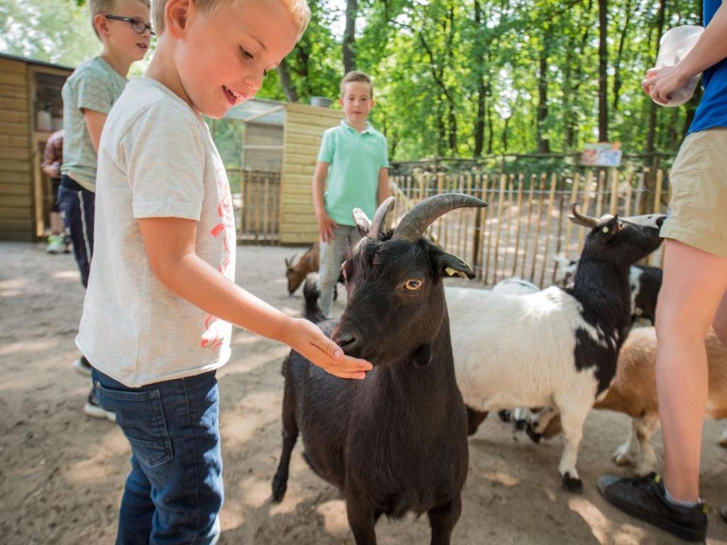 Landal Rabbit Hill Hotel Nieuw-Milligen Bagian luar foto